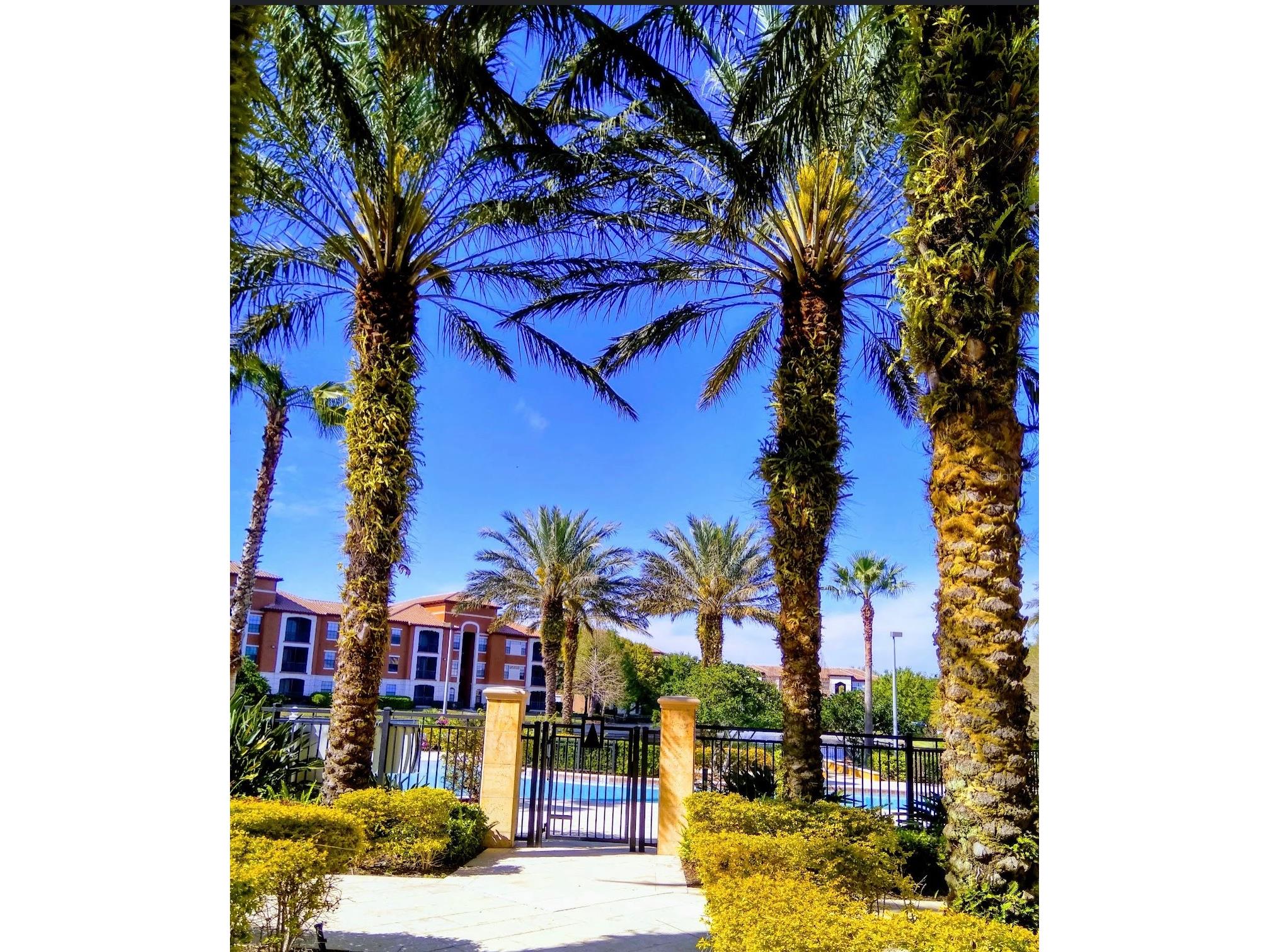 6137 Metrowest Boulevard #307 Orlando FL 32835 O6394574 image21