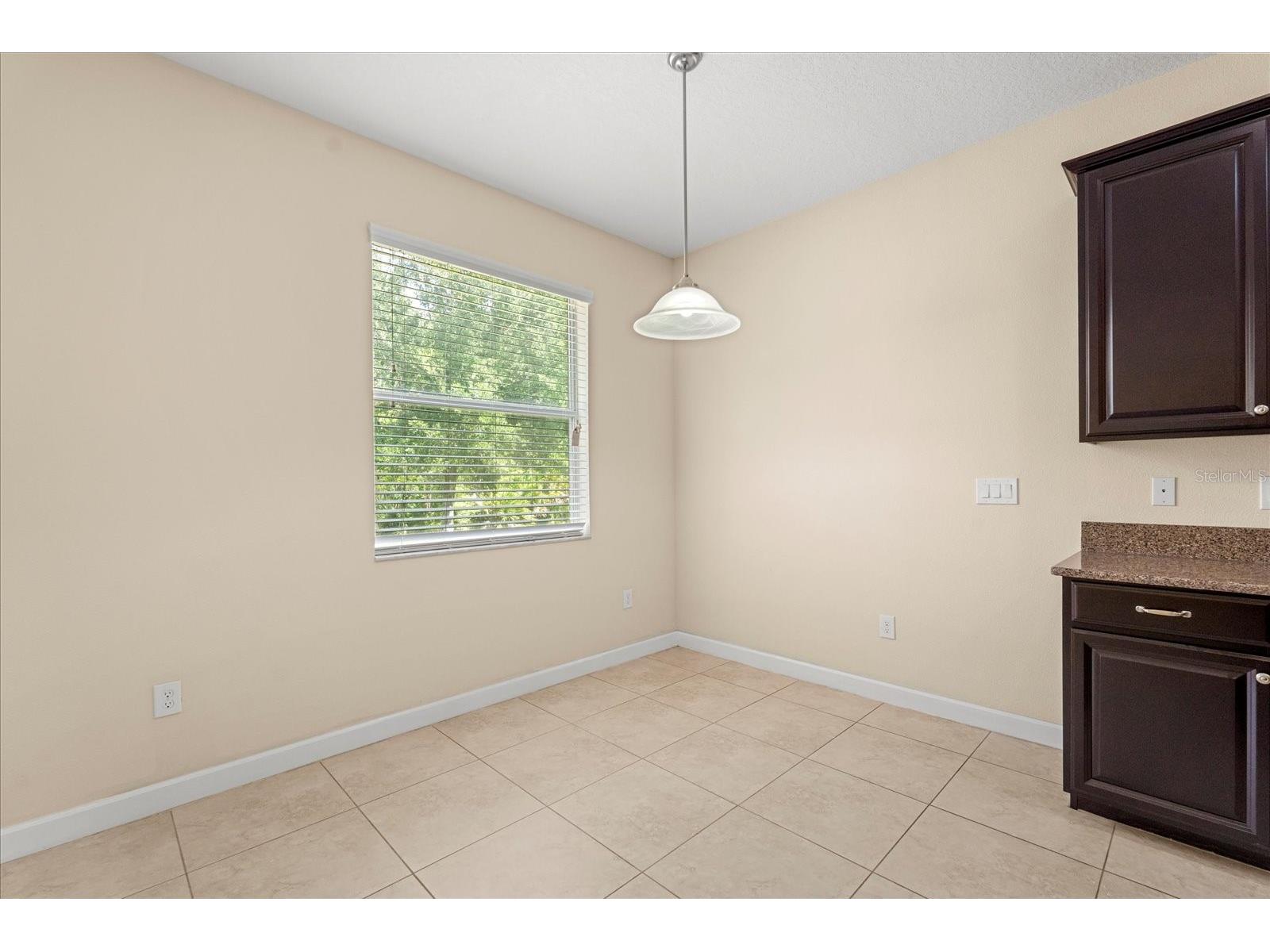 6137 Waterside Island Lane Winter Garden FL 34787 O6418786 image10