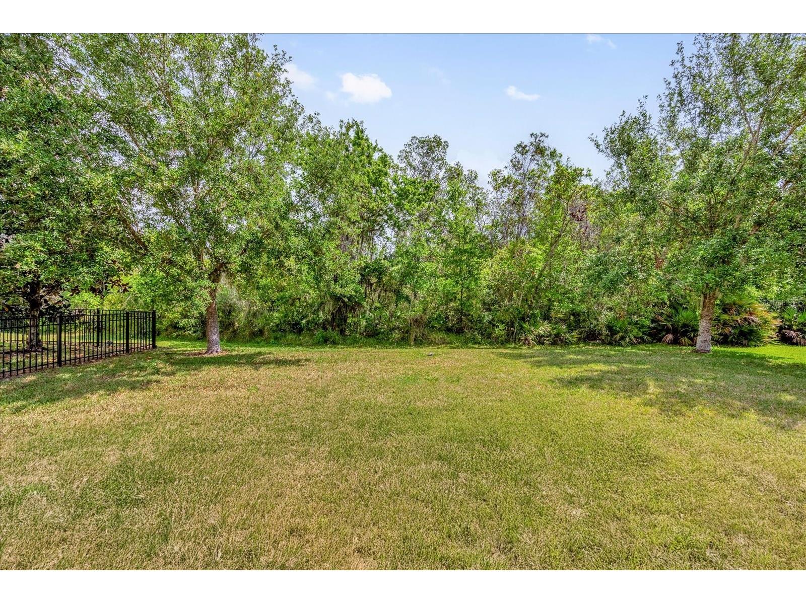 6137 Waterside Island Lane Winter Garden FL 34787 O6418786 image4