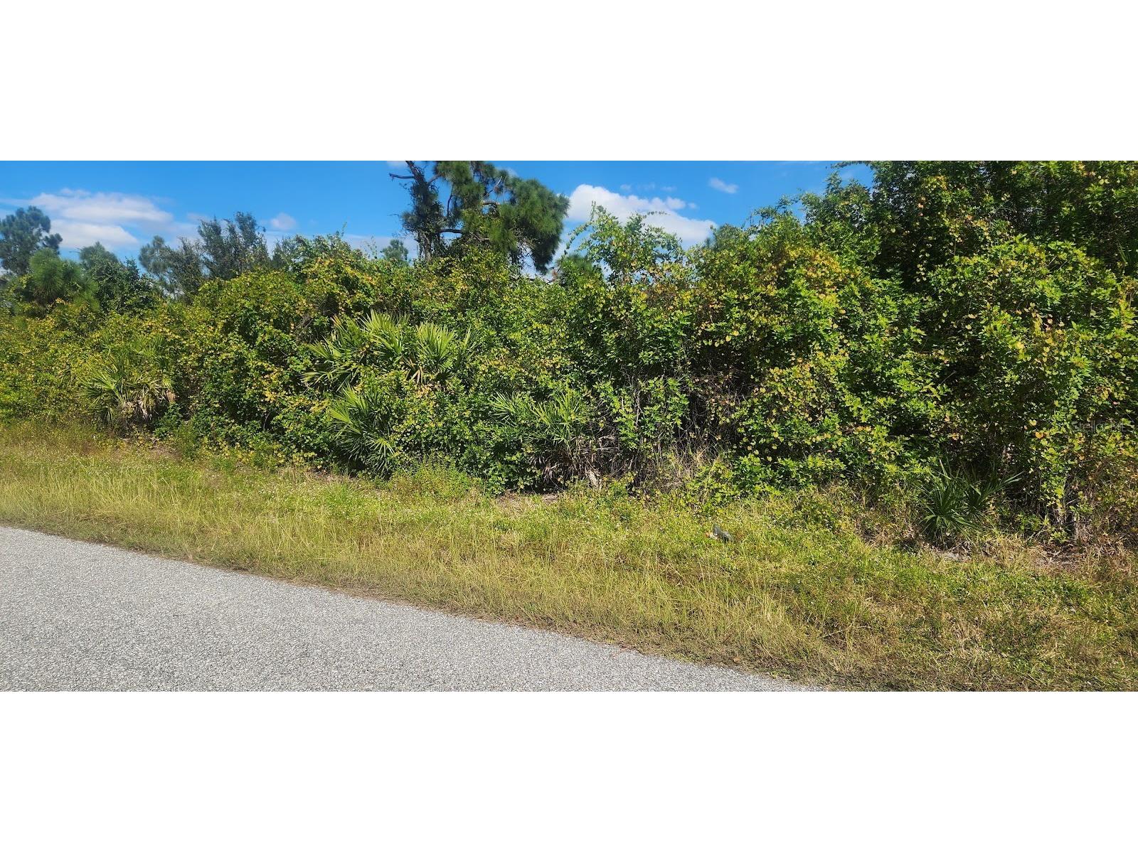 6138 Carlson Street Port Charlotte FL 33981 D6144665 image10