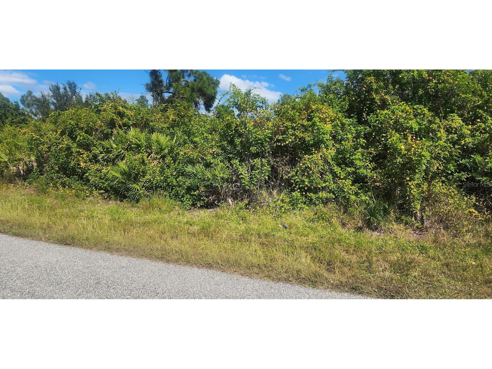 6138 Carlson Street Port Charlotte FL 33981 D6144665 image11