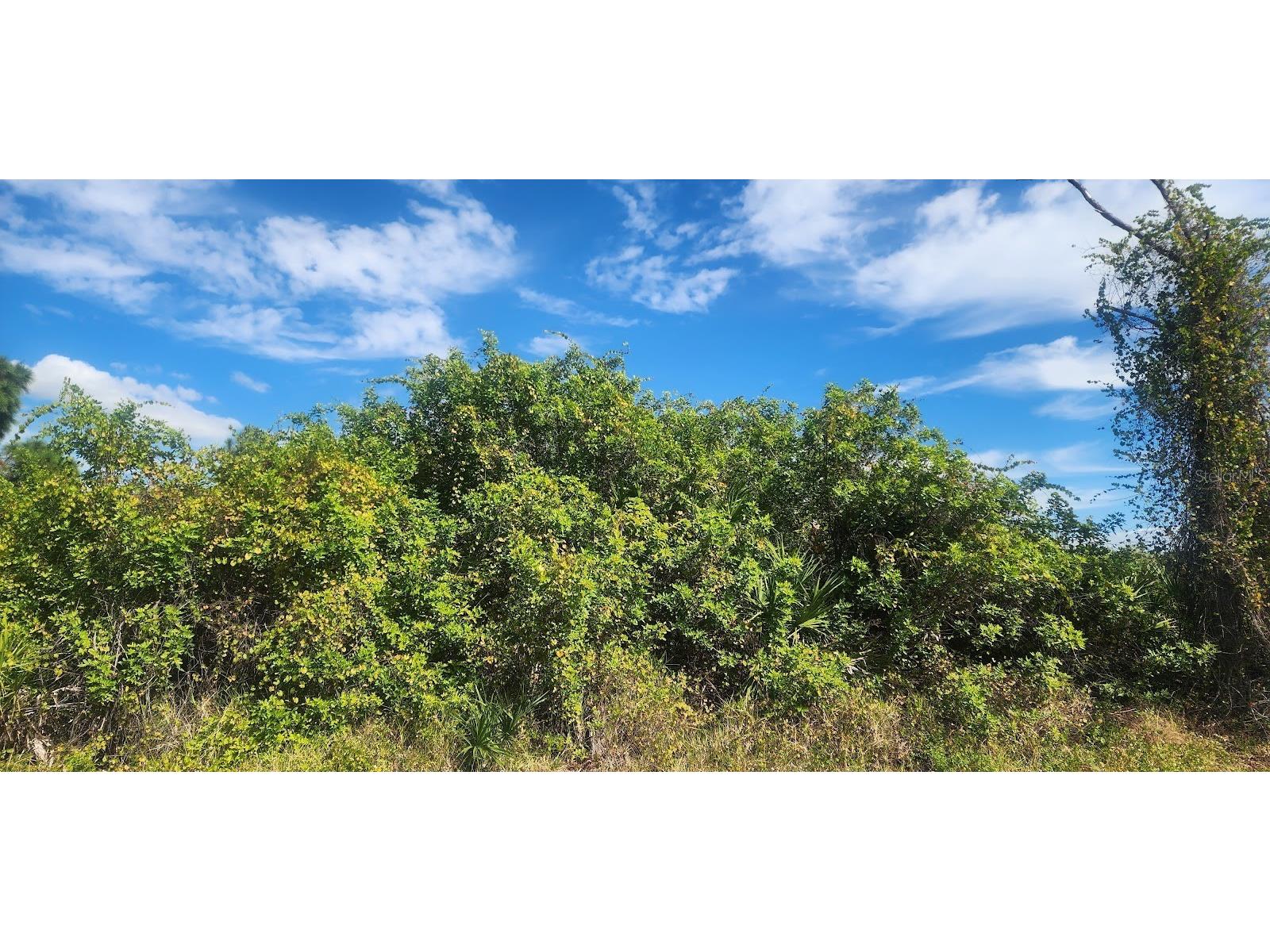 6138 Carlson Street Port Charlotte FL 33981 D6144665 image12