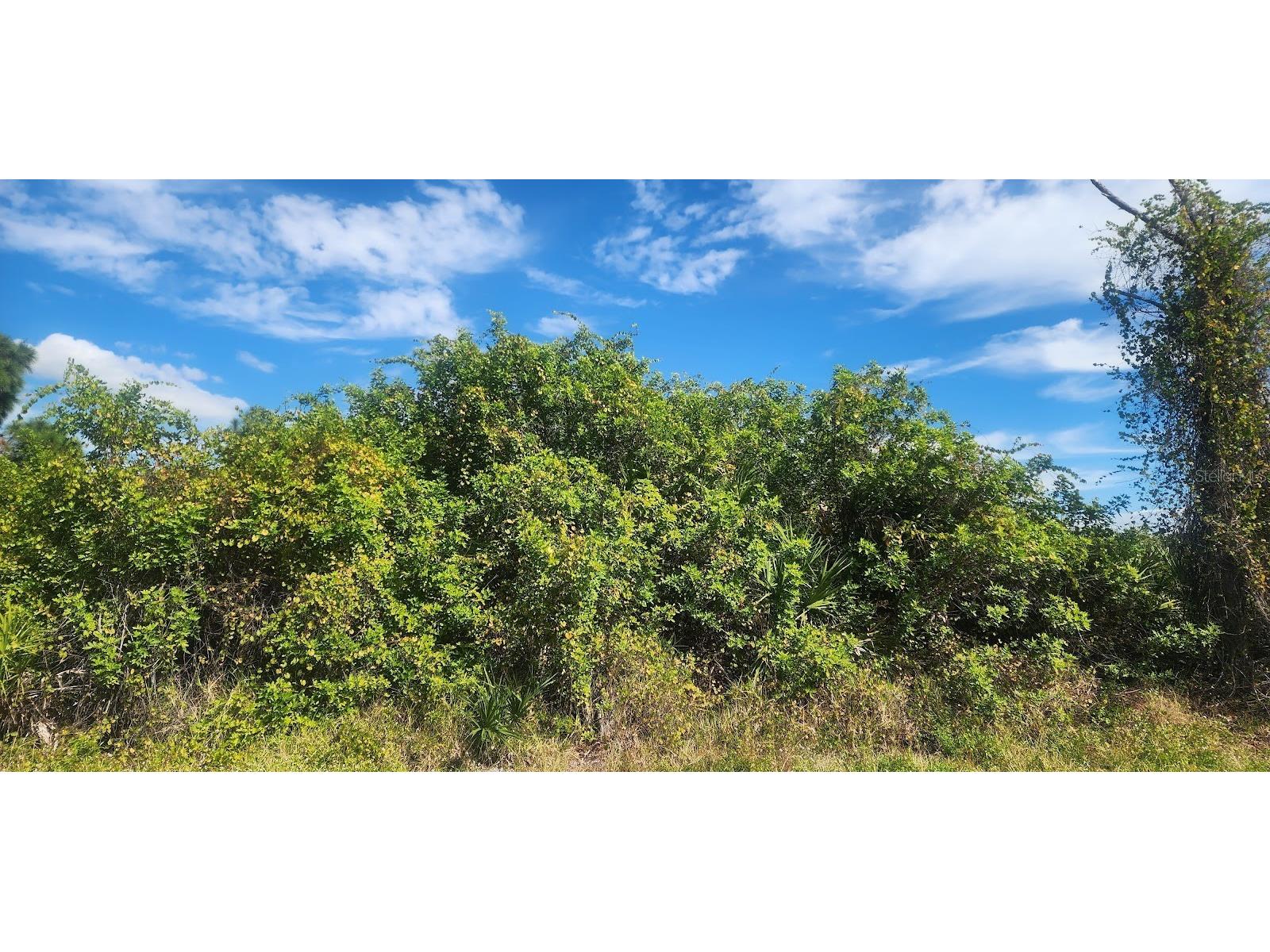 6138 Carlson Street Port Charlotte FL 33981 D6144665 image13