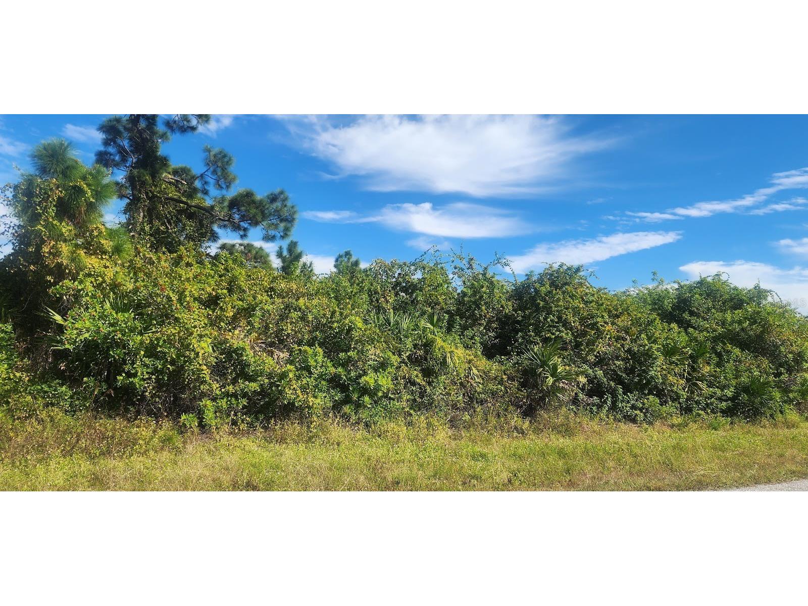 6138 Carlson Street Port Charlotte FL 33981 D6144665 image3