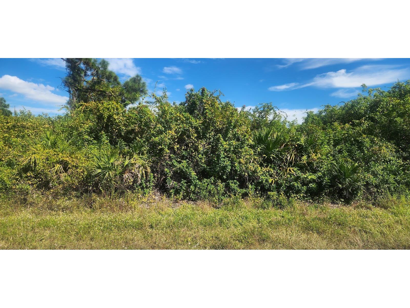 6138 Carlson Street Port Charlotte FL 33981 D6144665 image4