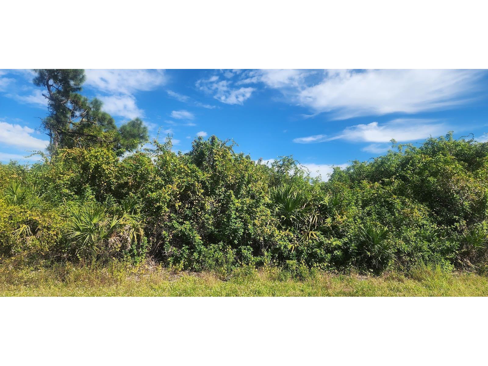 6138 Carlson Street Port Charlotte FL 33981 D6144665 image5