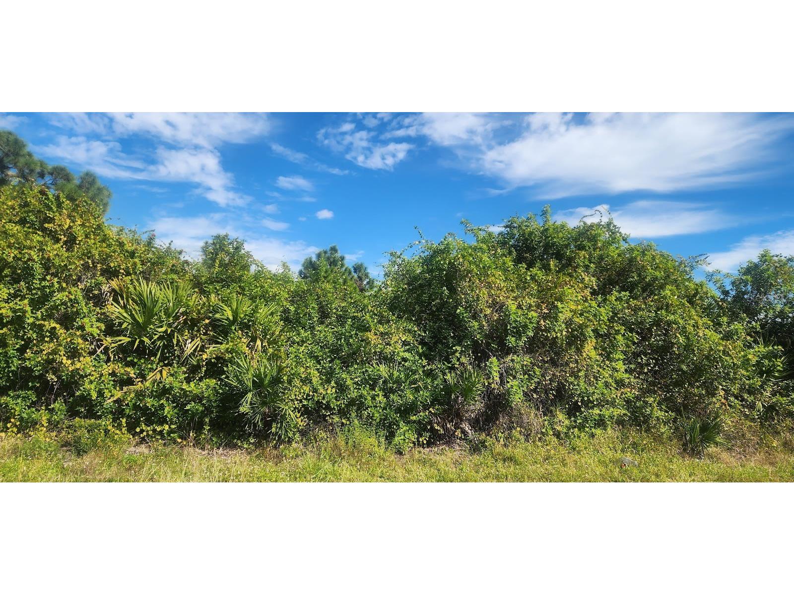 6138 Carlson Street Port Charlotte FL 33981 D6144665 image6