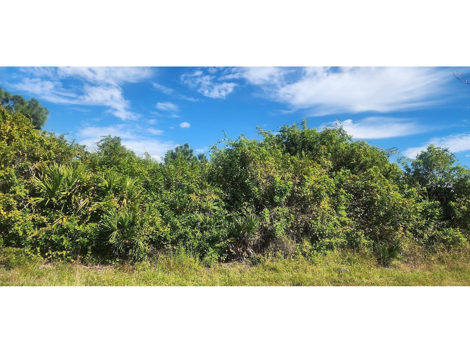 6138 Carlson Street Port Charlotte FL 33981 D6144665 image7