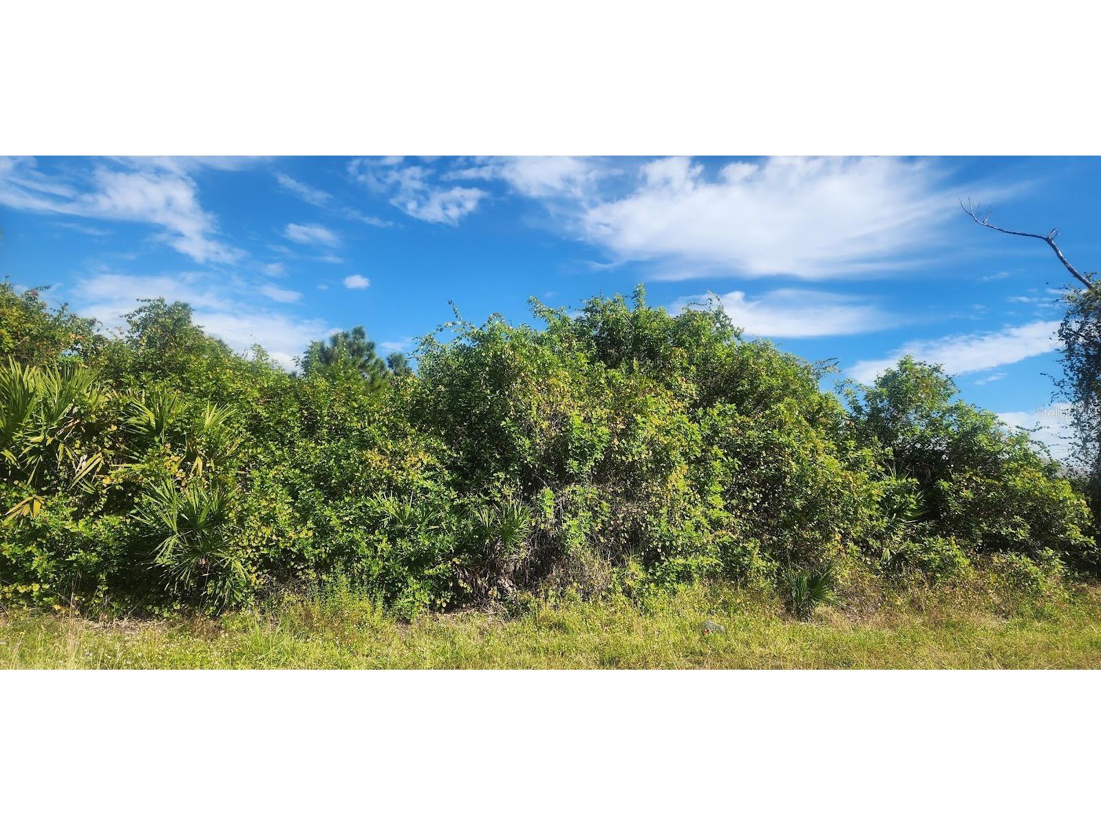 6138 Carlson Street Port Charlotte FL 33981 D6144665 image8