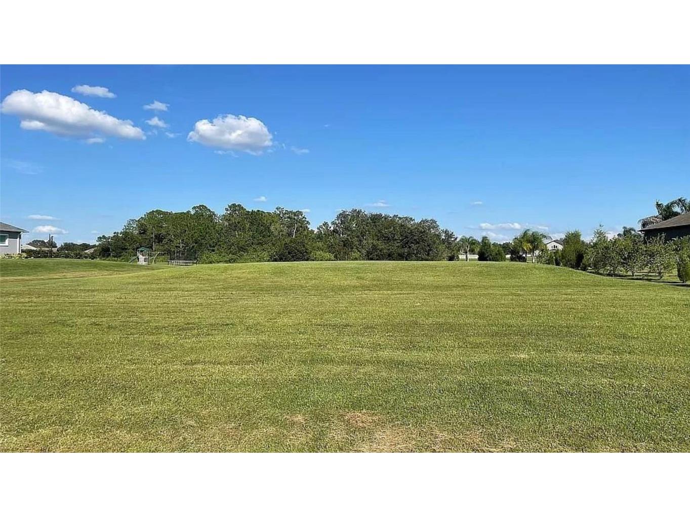 6138 Foal Creek Drive Parrish FL 34219 A4595094 image1