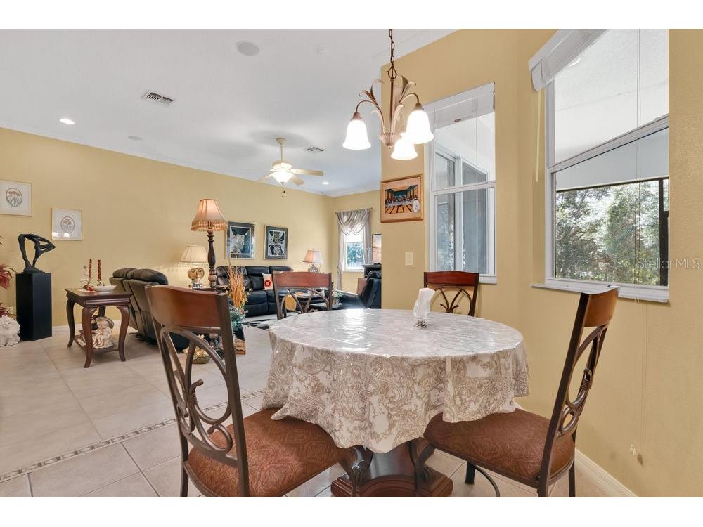 6139 Andreozzi Lane Windermere FL 34786 O6330995 image10