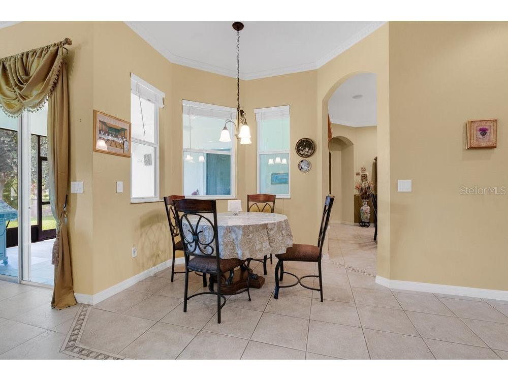 6139 Andreozzi Lane Windermere FL 34786 O6330995 image11