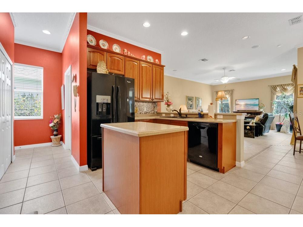 6139 Andreozzi Lane Windermere FL 34786 O6330995 image12