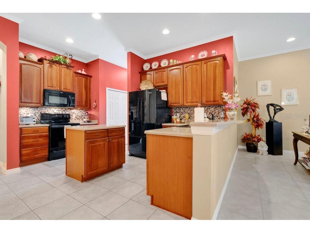 6139 Andreozzi Lane Windermere FL 34786 O6330995 image14