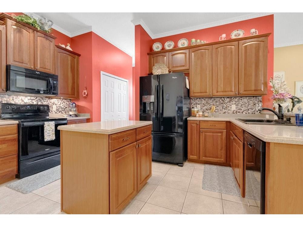 6139 Andreozzi Lane Windermere FL 34786 O6330995 image15