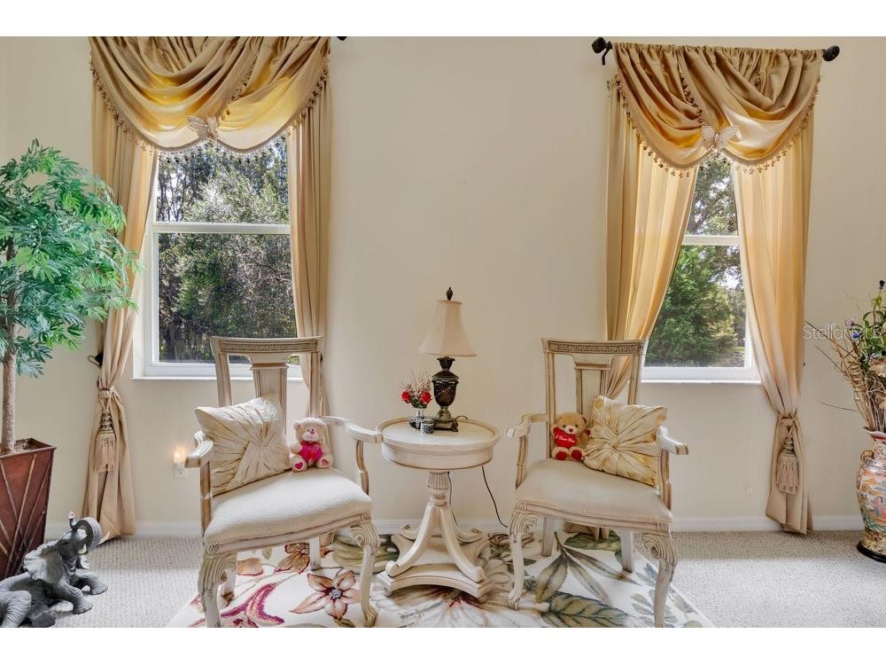 6139 Andreozzi Lane Windermere FL 34786 O6330995 image20