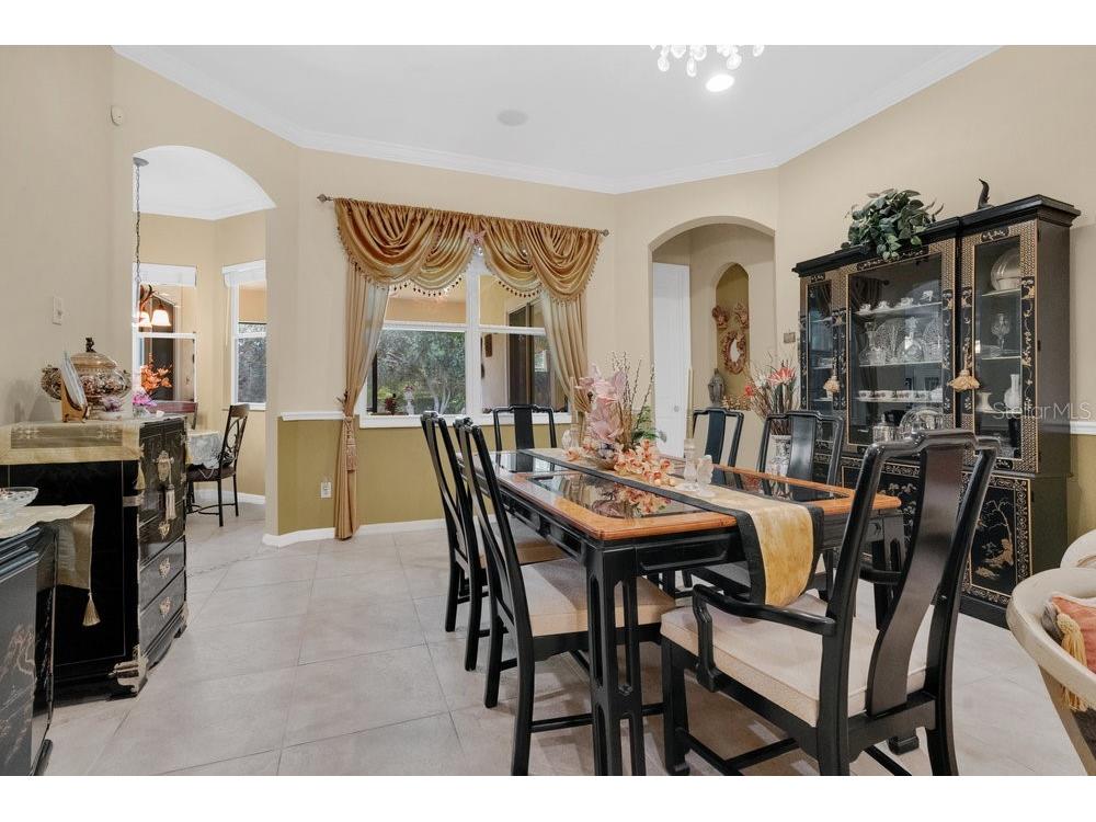 6139 Andreozzi Lane Windermere FL 34786 O6330995 image21