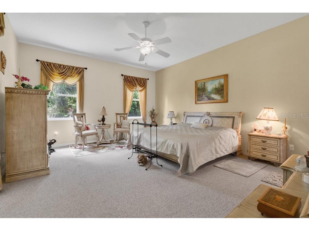 6139 Andreozzi Lane Windermere FL 34786 O6330995 image22