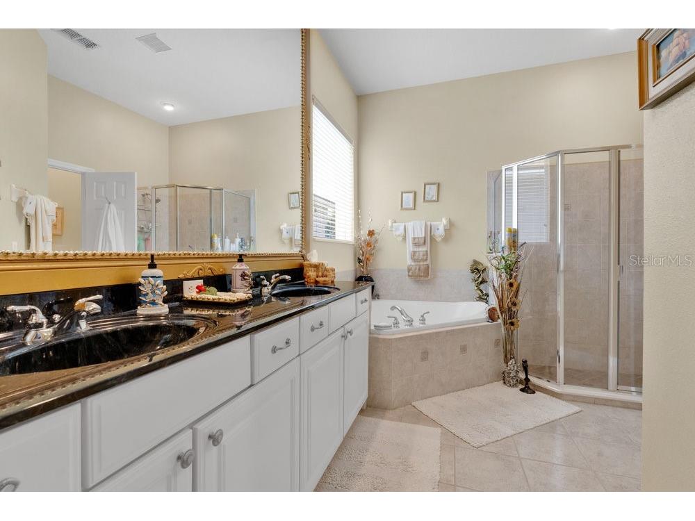 6139 Andreozzi Lane Windermere FL 34786 O6330995 image24