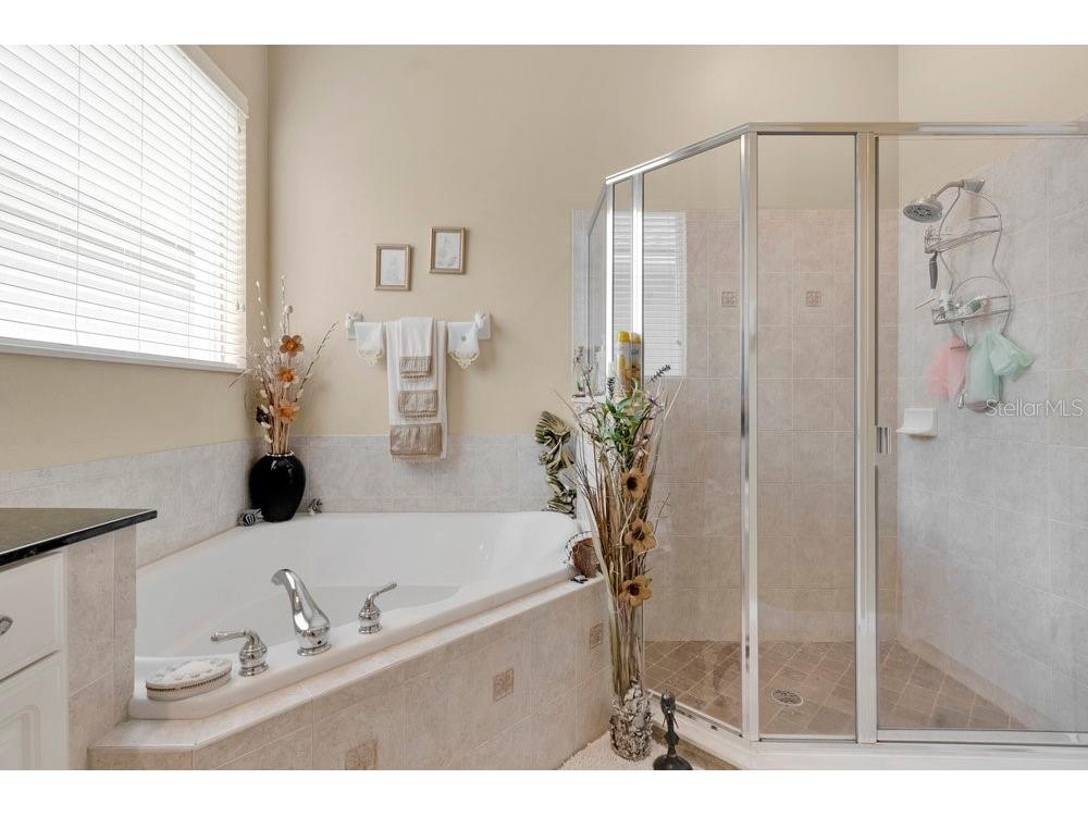 6139 Andreozzi Lane Windermere FL 34786 O6330995 image26