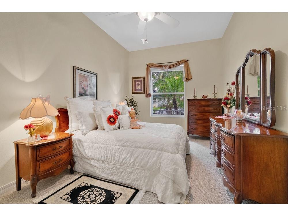 6139 Andreozzi Lane Windermere FL 34786 O6330995 image28