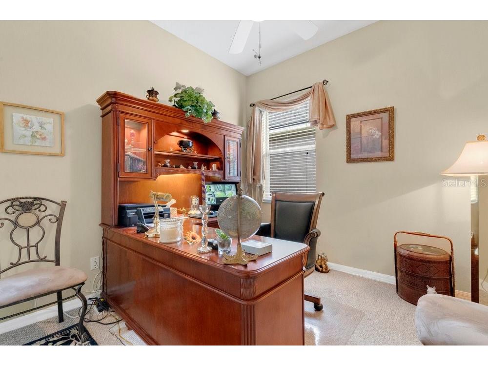 6139 Andreozzi Lane Windermere FL 34786 O6330995 image31