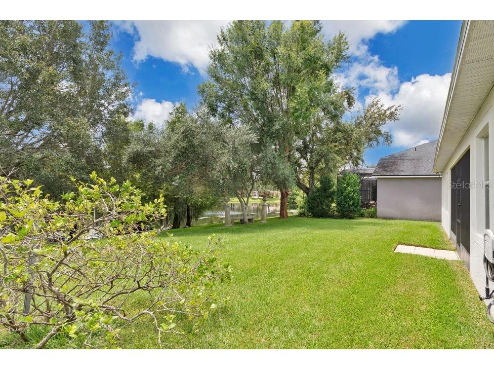 6139 Andreozzi Lane Windermere FL 34786 O6330995 image35