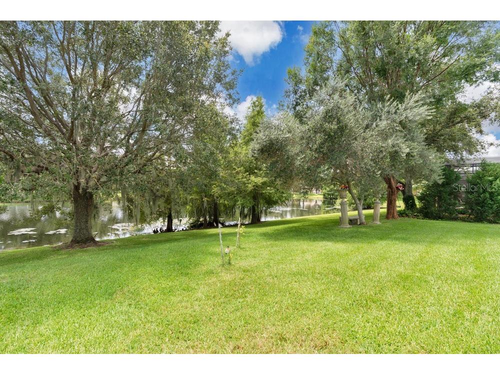 6139 Andreozzi Lane Windermere FL 34786 O6330995 image36