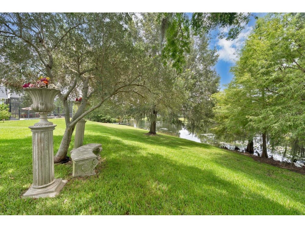 6139 Andreozzi Lane Windermere FL 34786 O6330995 image37