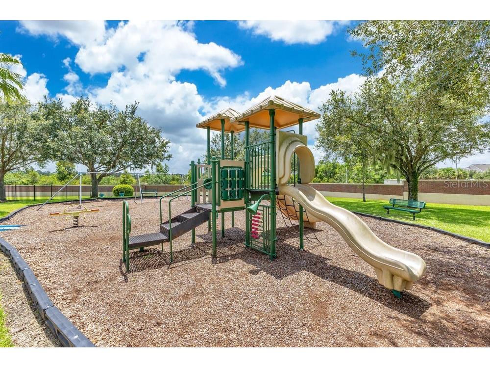 6139 Andreozzi Lane Windermere FL 34786 O6330995 image52