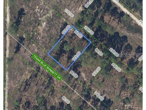 6139 Texas Blue Bonnett Drive Sebring FL 33876 O6303801 image1