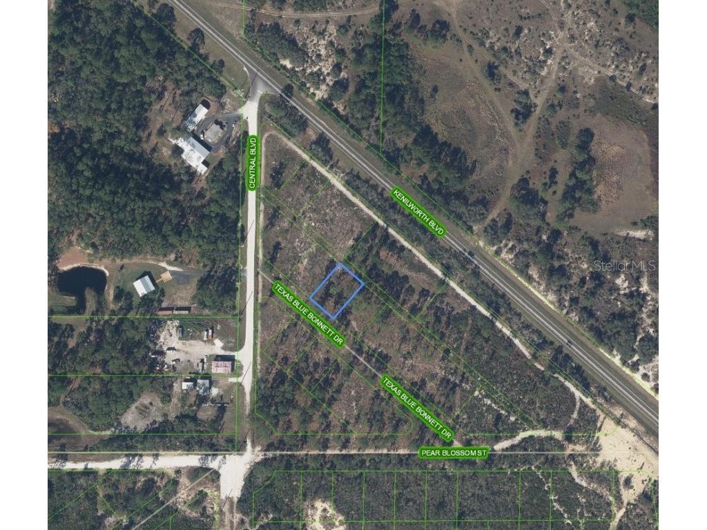 6139 Texas Blue Bonnett Drive Sebring FL 33876 O6303801 image2