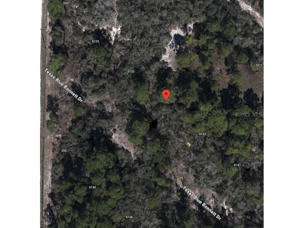 6139 Texas Blue Bonnett Drive Sebring FL 33876 O6303801 image4