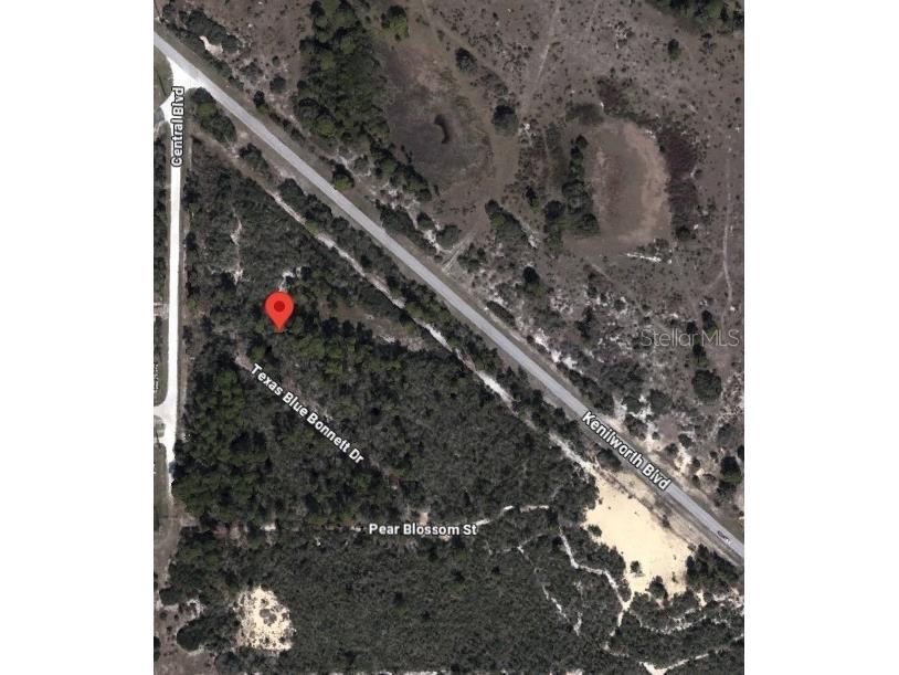 6139 Texas Blue Bonnett Drive Sebring FL 33876 O6303801 image5