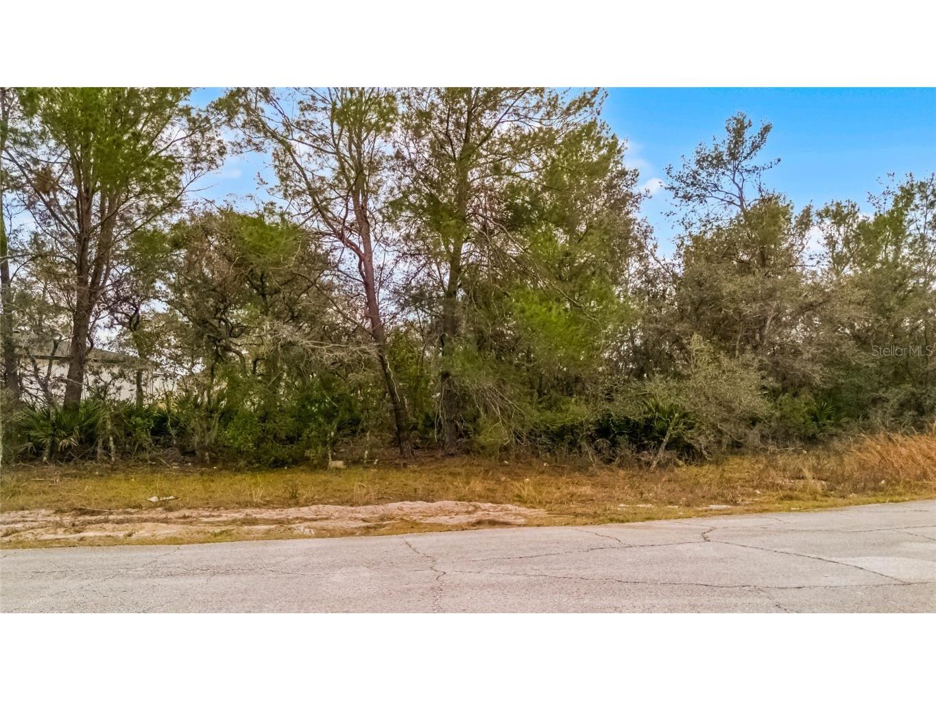 614 Alafia Place Kissimmee FL 34759 S5120769 image1