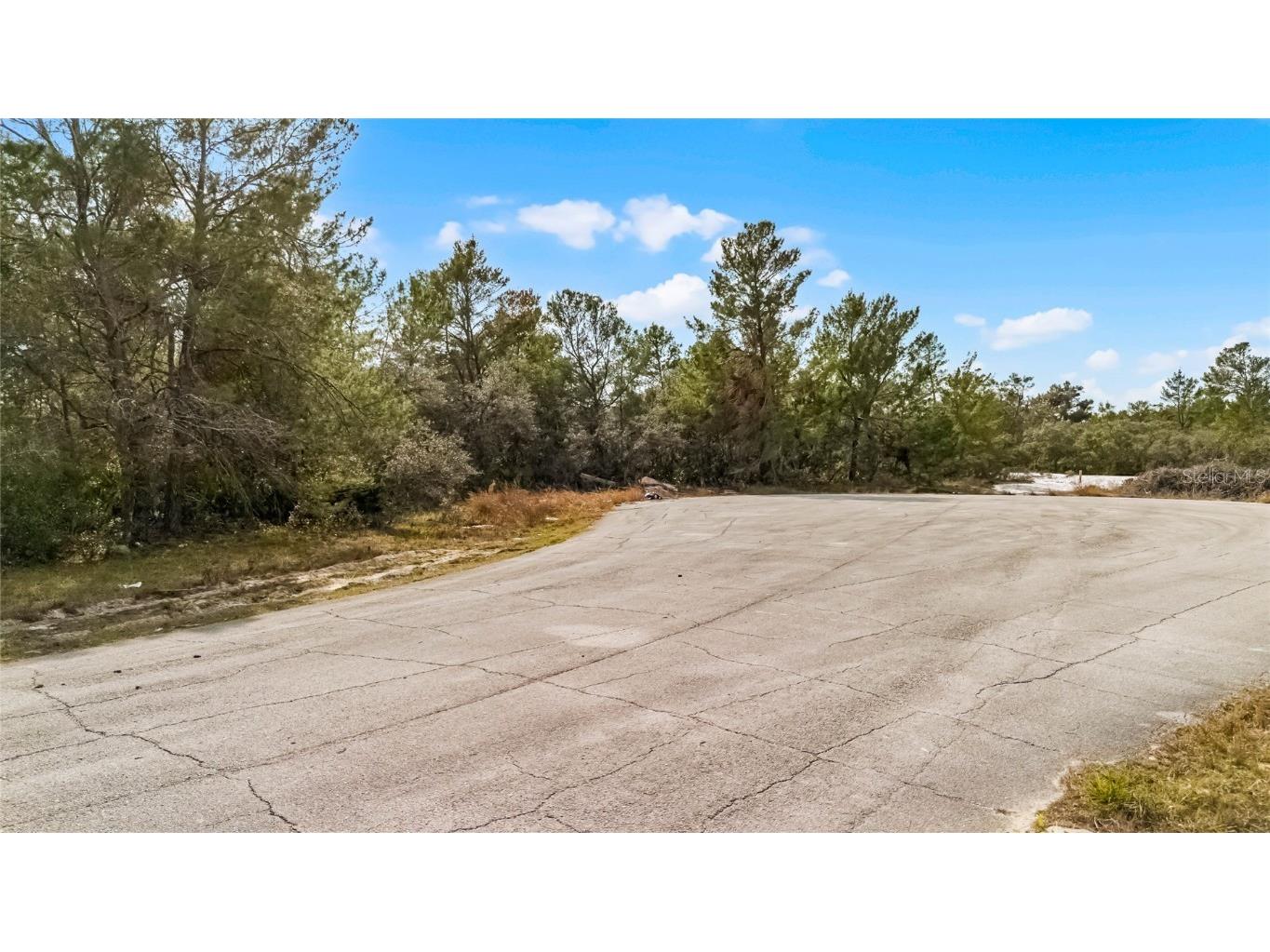 614 Alafia Place Kissimmee FL 34759 S5120769 image2