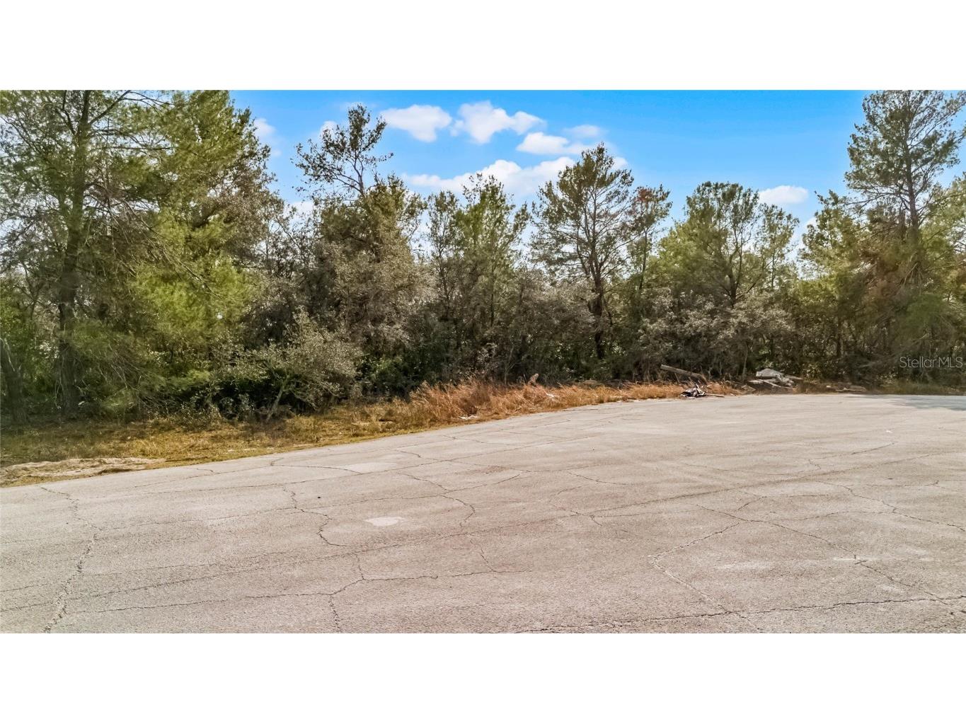 614 Alafia Place Kissimmee FL 34759 S5120769 image3