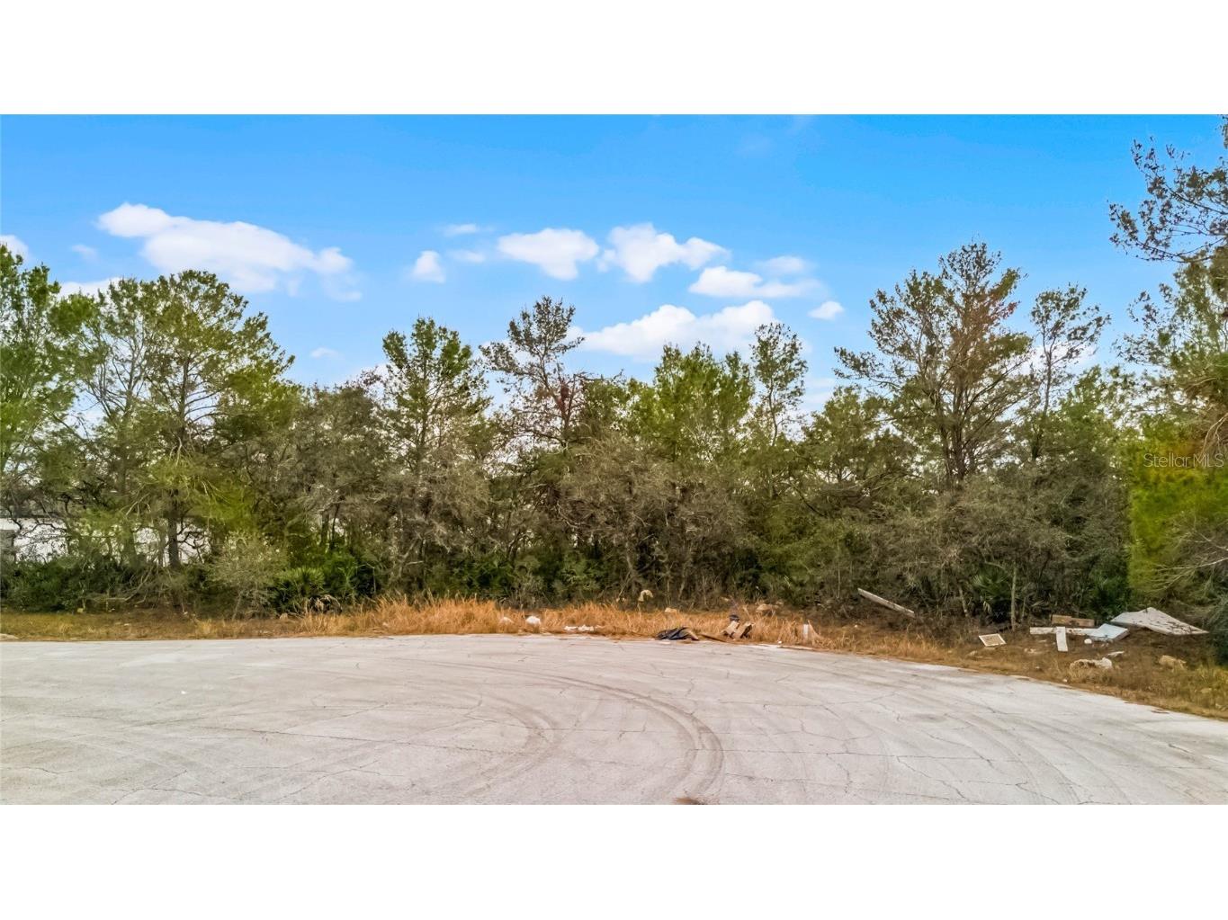 614 Alafia Place Kissimmee FL 34759 S5120769 image4