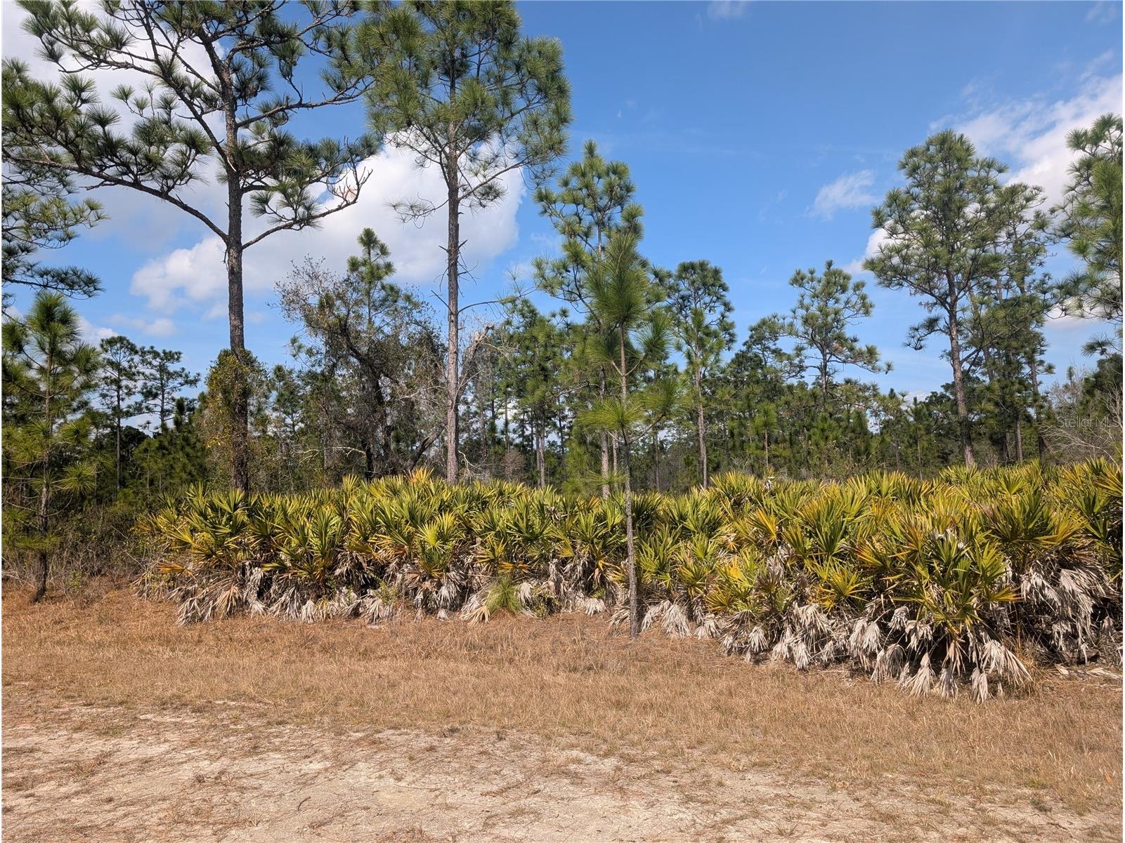 614 Alba Drive Indian Lake Estates FL 33855 - LAKE WALK-IN-WATER P4937893 image10