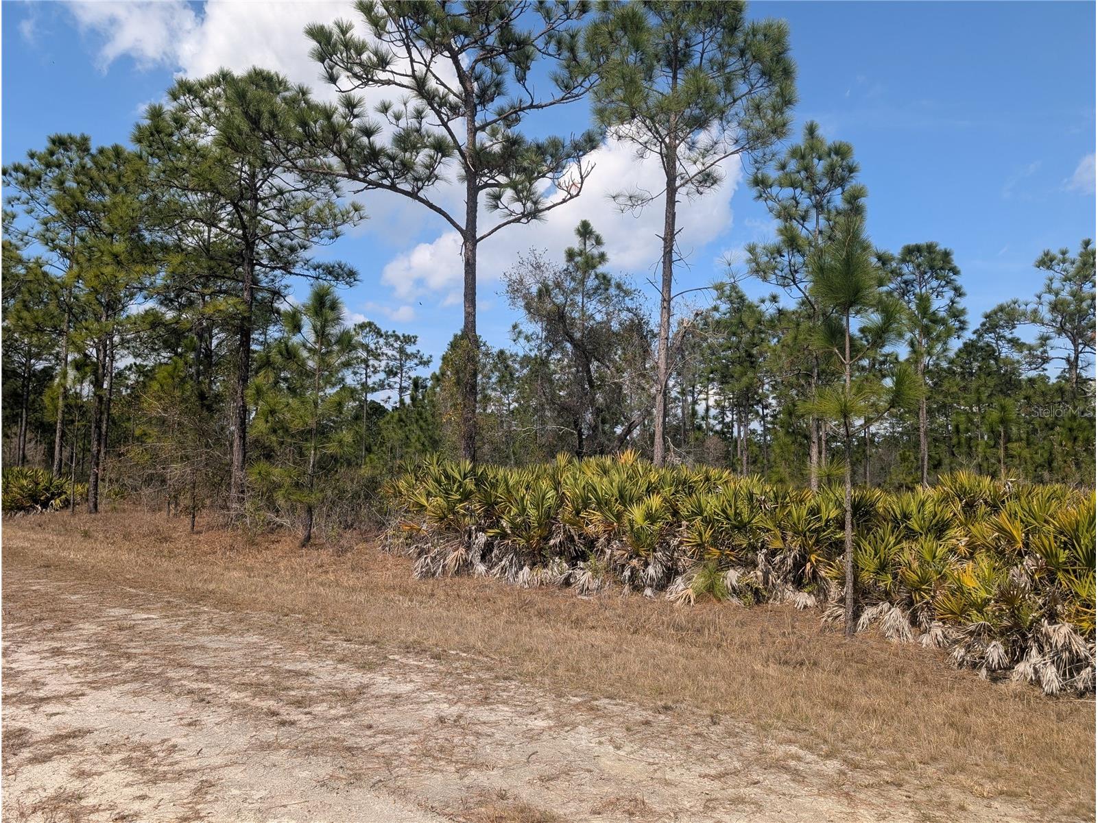 614 Alba Drive Indian Lake Estates FL 33855 - LAKE WALK-IN-WATER P4937893 image3