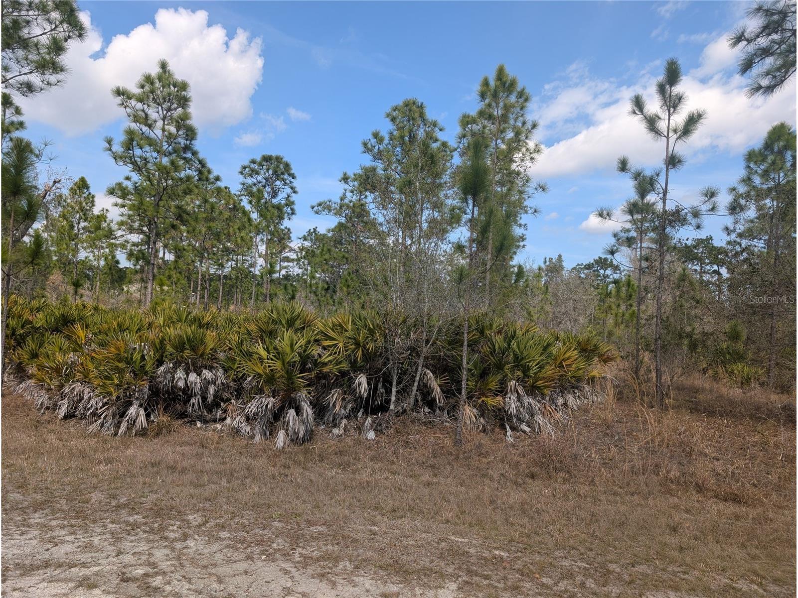 614 Alba Drive Indian Lake Estates FL 33855 - LAKE WALK-IN-WATER P4937893 image4