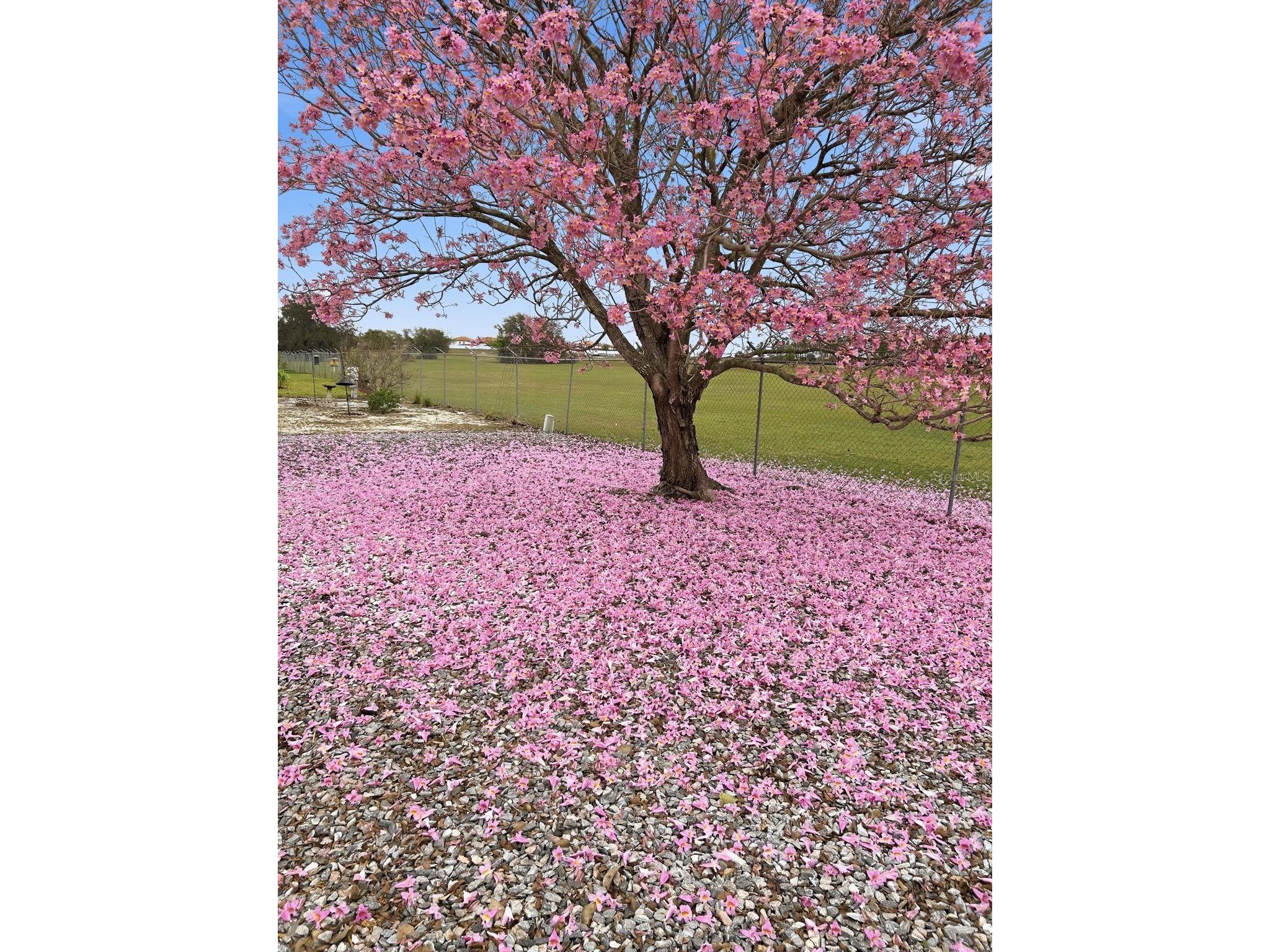 614 Challenger Avenue Davenport FL 33897 O6361341 image28