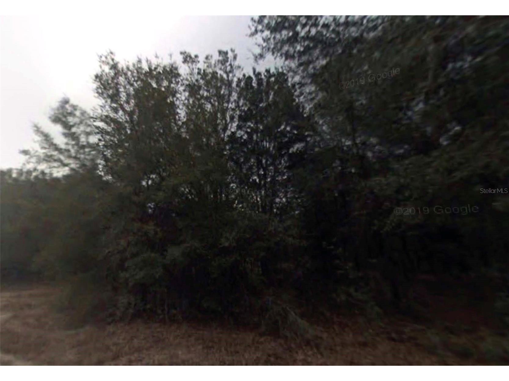 614 Longwood Avenue Inverness FL 34453 O6401385 image1