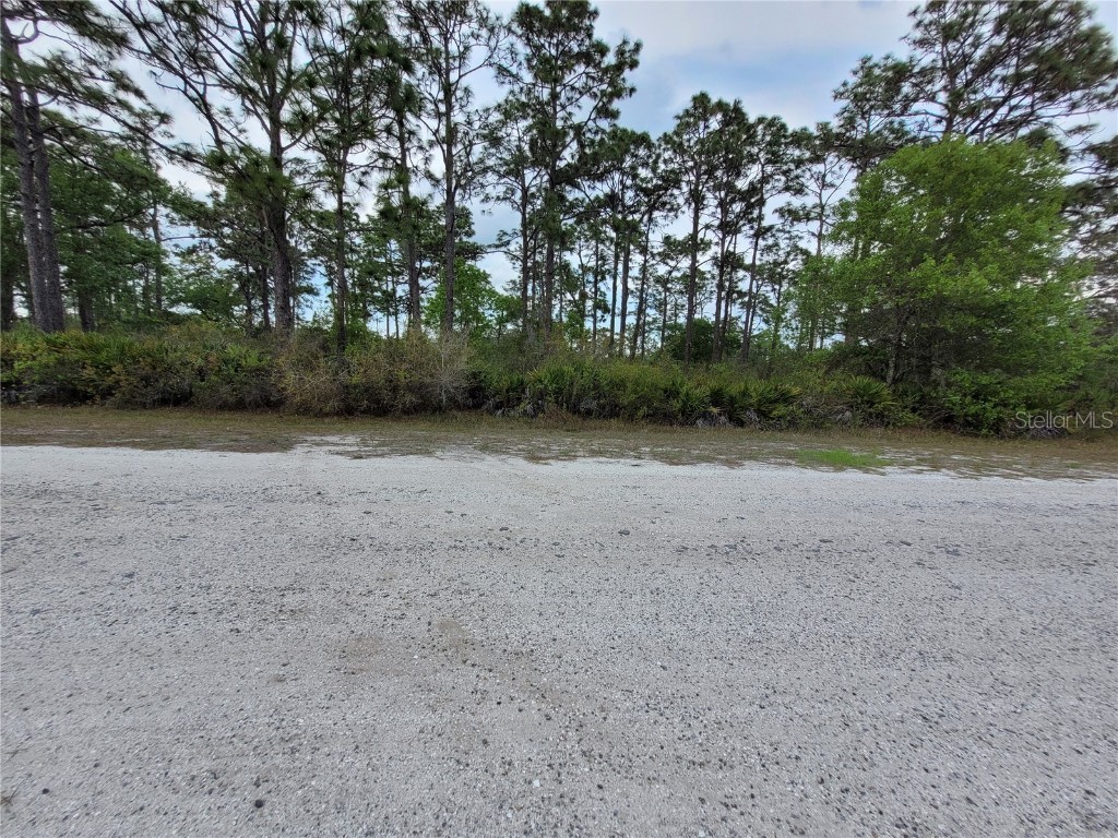 614 Orchid Drive Indian Lake Estates FL 33855 OM675034 image1