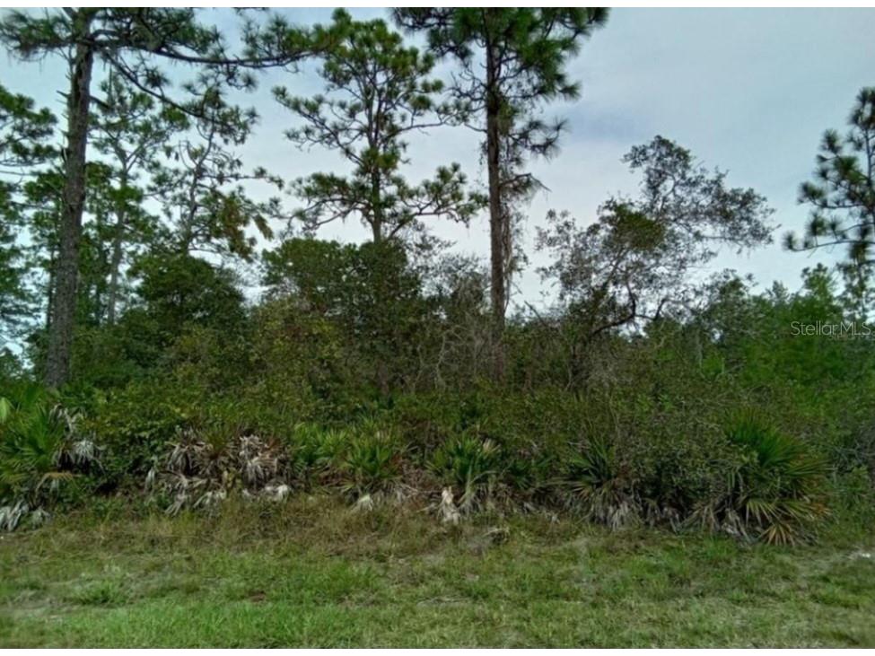 614 Pandora Drive #8 Indian Lake Estates FL 33855 OM659463 image1