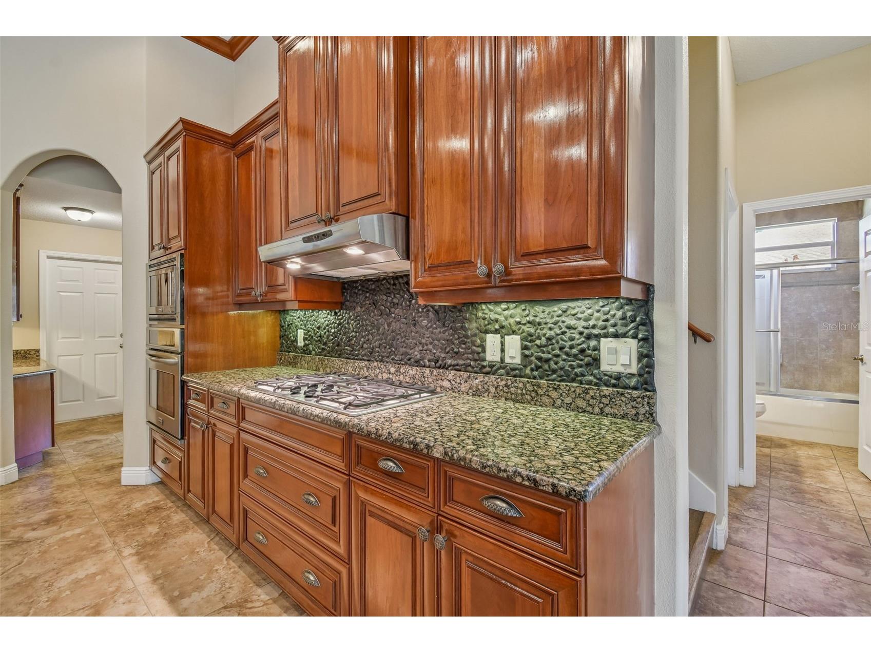 614 Vintage Way Brandon FL 33511 TB8480986 image21