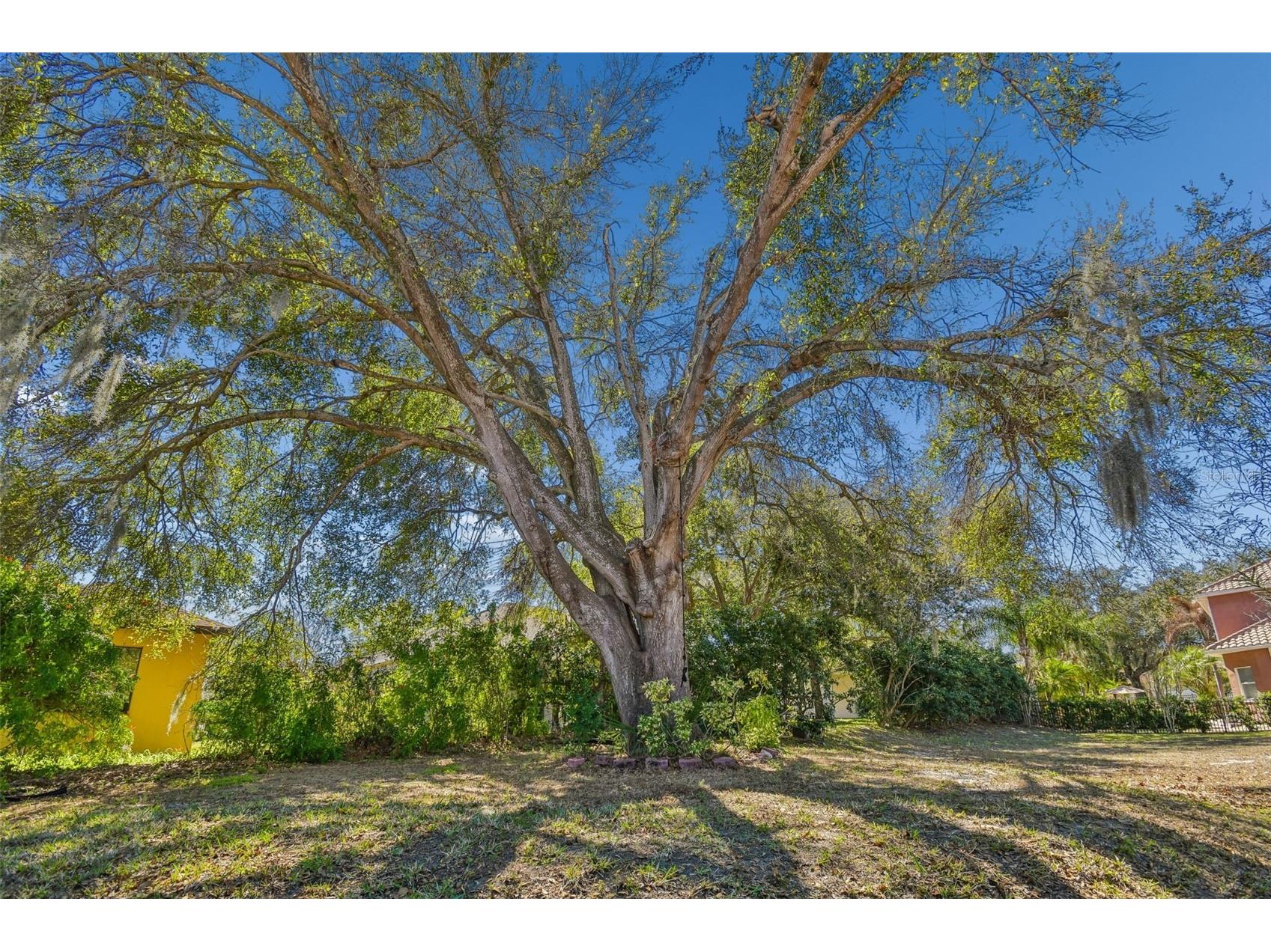 614 Vintage Way Brandon FL 33511 TB8480986 image76