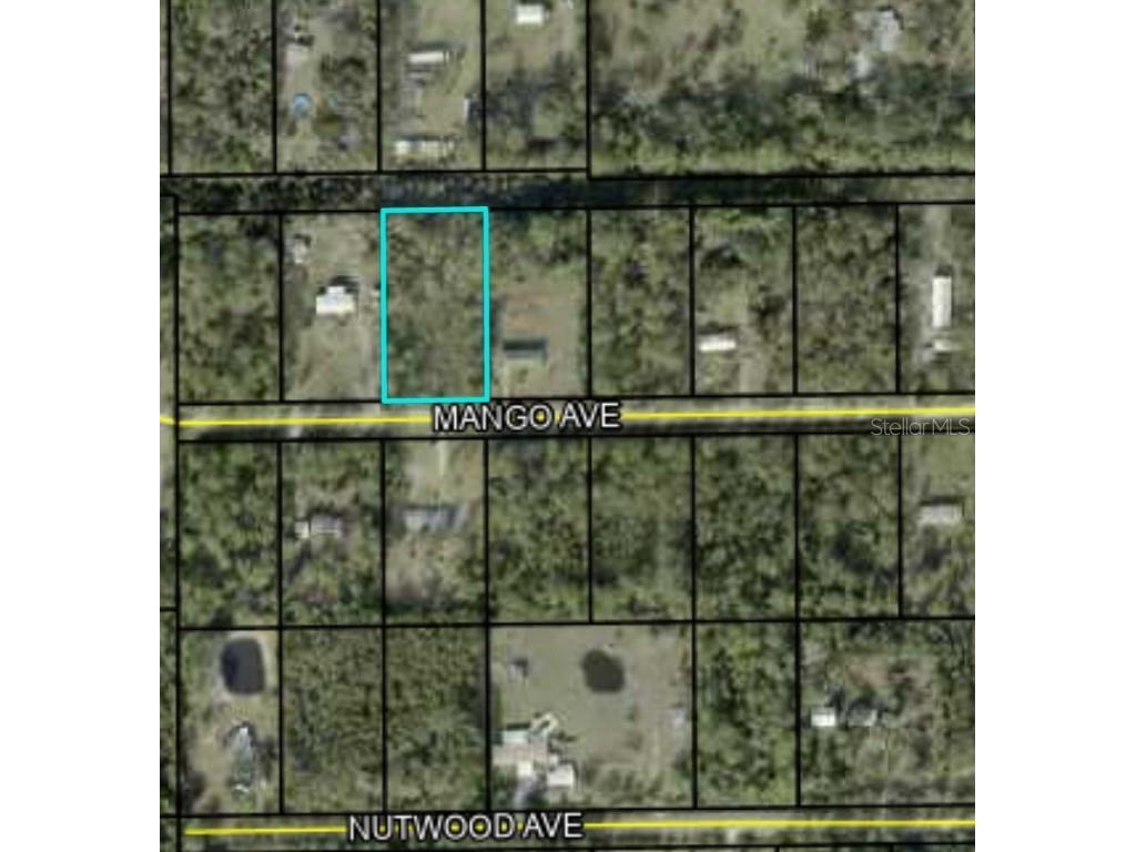 6140 Mango Avenue Bunnell FL 32110 FC293529 image1