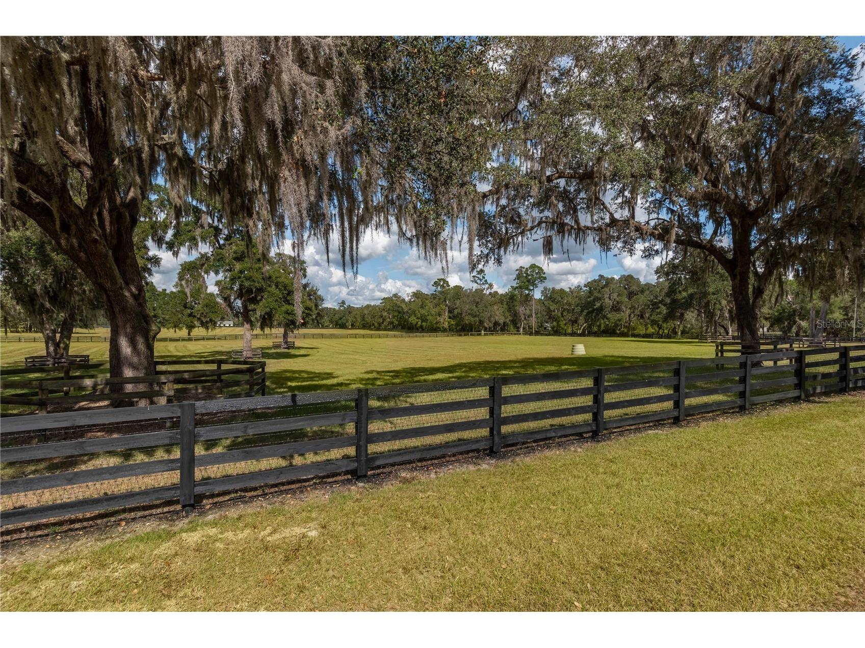 6140 NW 145th Avenue Road Morriston FL 32668 OM703863 image34