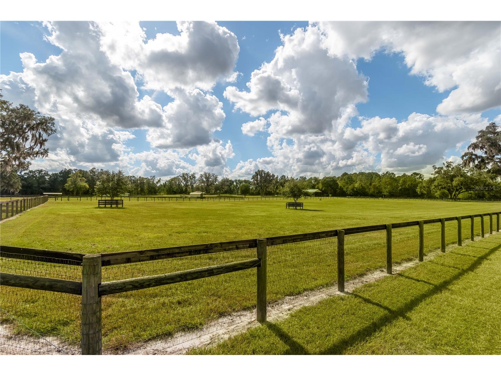 6140 NW 145th Avenue Road Morriston FL 32668 OM703863 image35